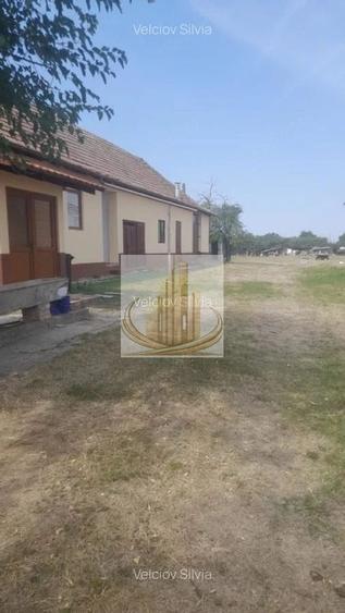 Casă individuală Dudeștii Noi | 2.526 mp teren | Pivniță