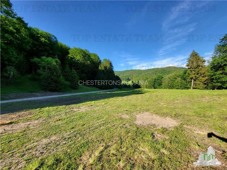 Teren Intravilan 12000 mp, Cascada Urlatoarea- Vama Buzaului, proiect aprobat pe - 13