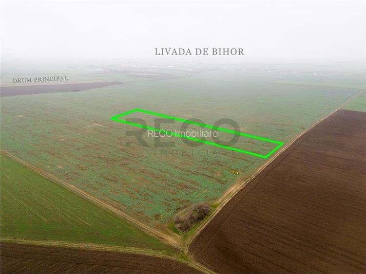 RECO Teren extravilan 5800 mp Livada de Bihor - 7