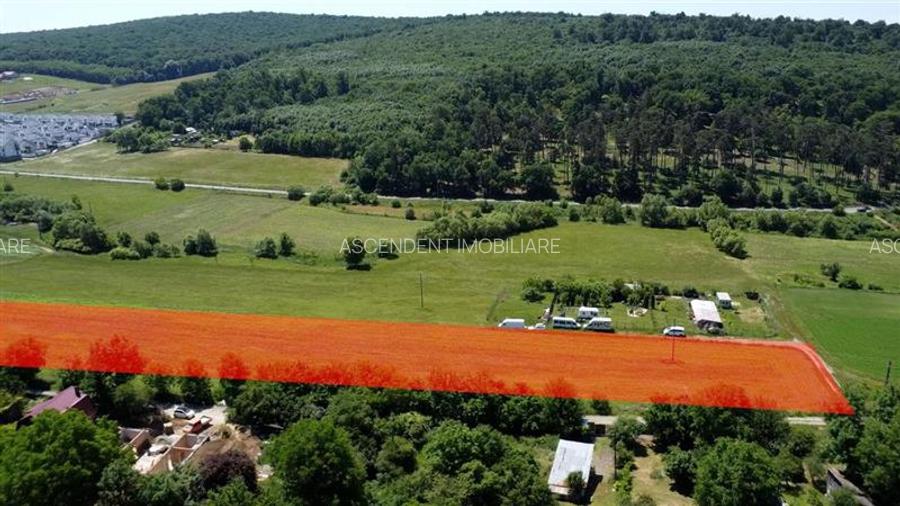 Ansamblu Funciar pretios,teren intravilan,14 loturi adiacente, langa padure, Bud - 3