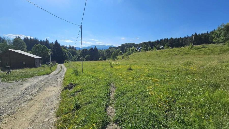 Teren intravilan Traisteni, Valea Doftanei – 2.290 mp, deschidere mare, padure - 5