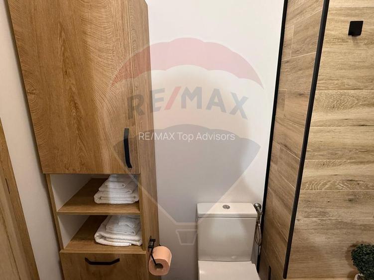 INCHIRIERE Apartament cu 2 camere in zona Drumul Taberei - 12