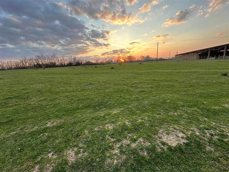 Bocsa Romana, 2 terenuri intravilan, 10.000 Mp.(59.900 Euro) si arabil, 80.000 M