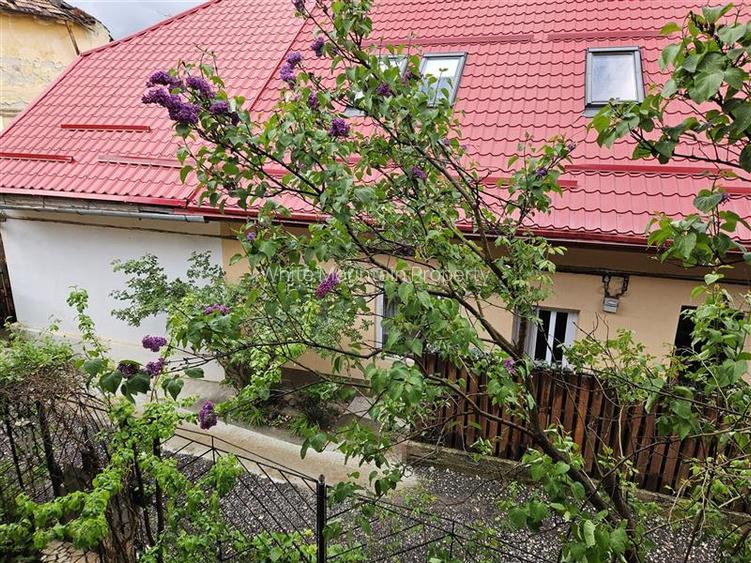 Garsoniera in zona ultracentrala de inchiriat small pet friendly - 18