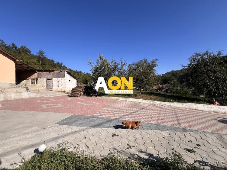 EXCLUSIVITATE | Casa de Vanzare | Valea Vintului | Teren 2980 mp - 17