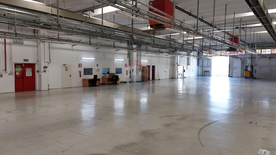 Hală | ISU | 4.5 Euro+TVA/mp| 2077 mp | lângă VGP Park | Acces centură