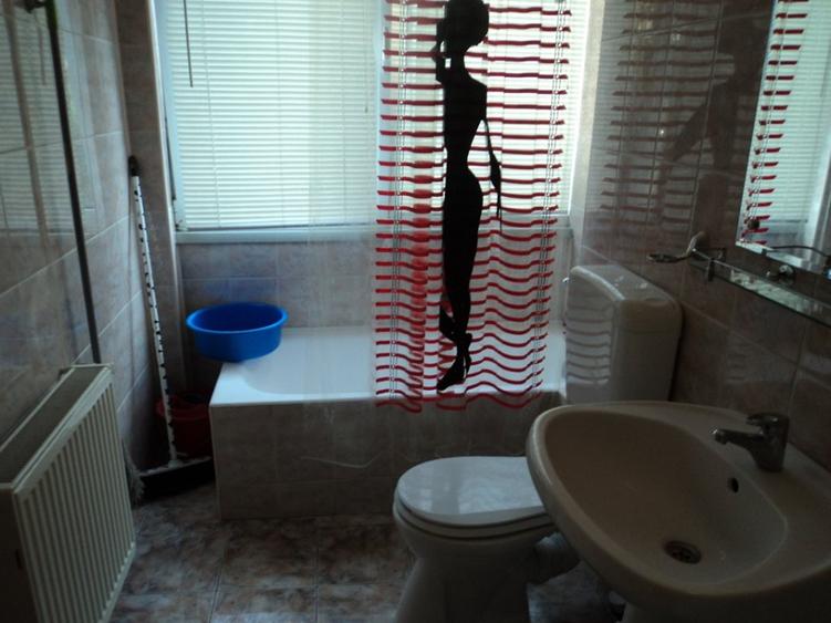 Apartament 2 camere Cismigiu - Sala Palatului