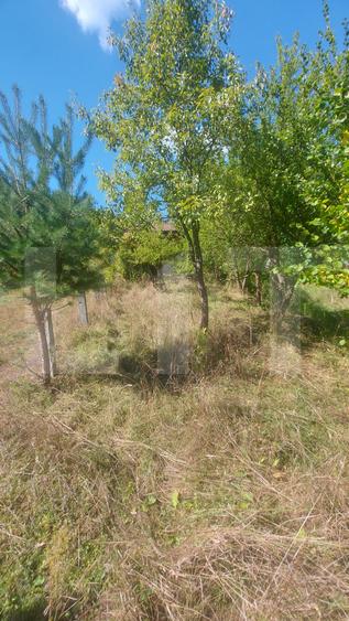 Teren intravilan 1.600 mp + constructie I Natura si liniste I Sita Buzaului