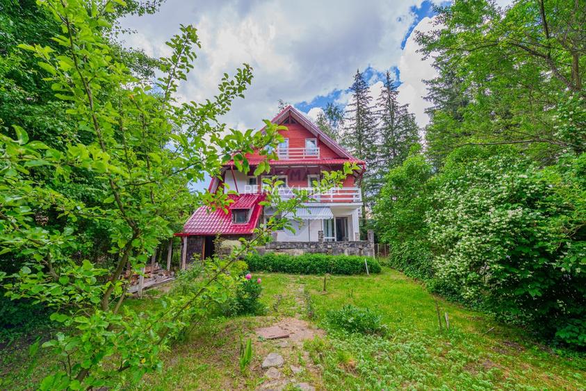 De vanzare casa la munte, Cheia, Prahova, P+2+Pod, 200mp, gradina - 42