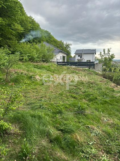 TEREN PREMIUM CU VEDERE SPECTACULOASA LA LIZIERA PADURII | BASCOV | 807 MP | - 3