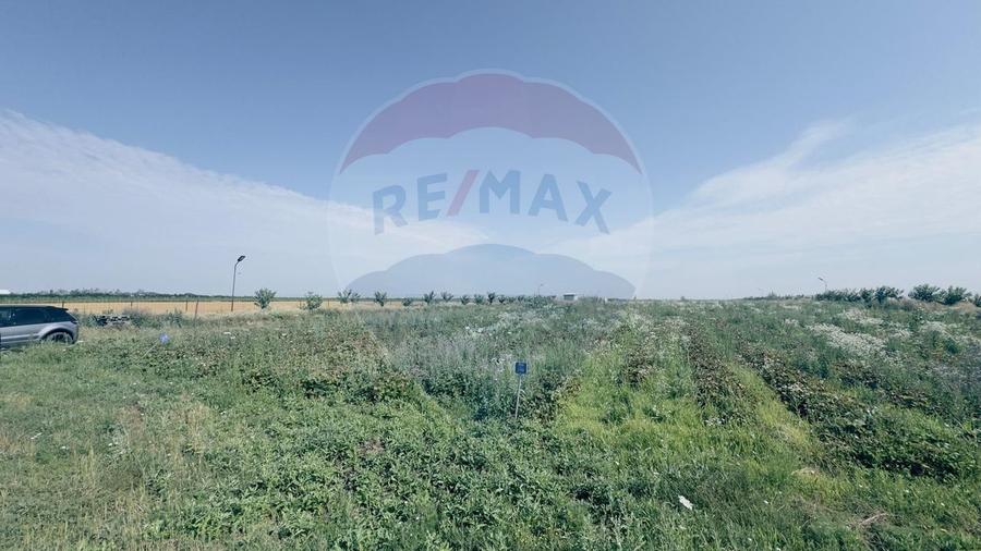 Teren agricol 16.750mp în Cârcea, imprejmuit, cultura capsuni, solarii