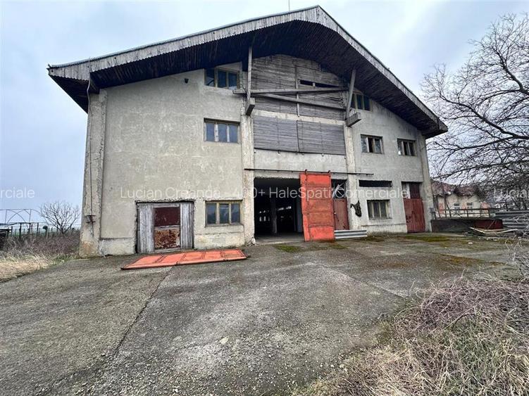 Hala, spatiu comercial, vad, de la 423mp la 1744mp, Vama Albita - 22