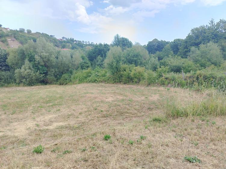 2 Parcele de teren extravilan zona Bradet Pret 3000eur/ar neg usor