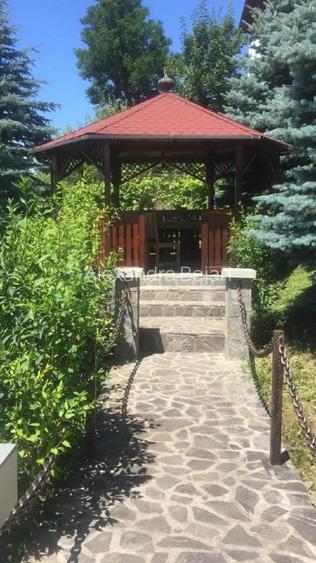 Vila deosebita cu 7 dormitoare, piscina încălzită, panouri fotovoltaice - 4