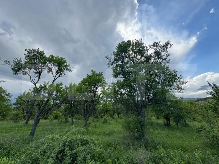 Teren extravilan de vanzare, 5305 mp, in apropiere de Hațeg - 2