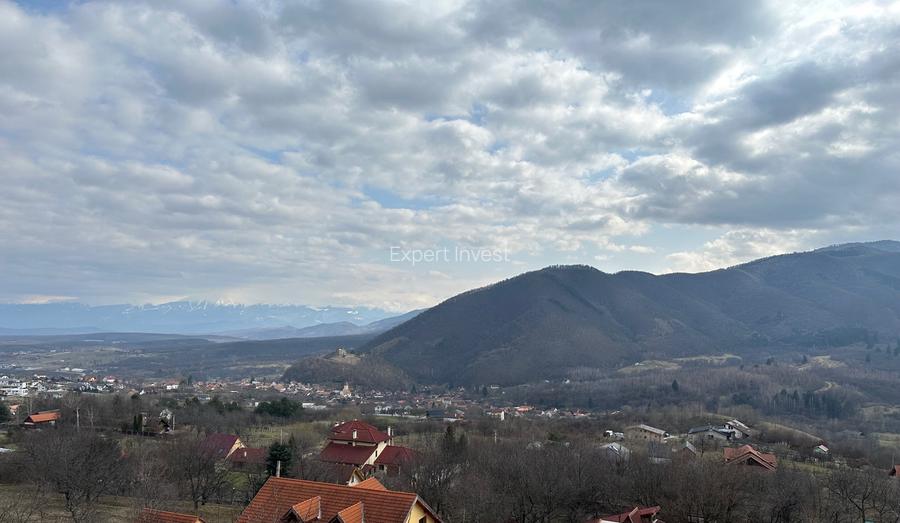 Teren intravilan 2.500 mp in Cisnadioara / jud. Sibiu - 5