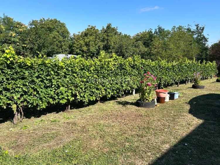 Casă 200mp si teren 2000mp Negrea, Galati