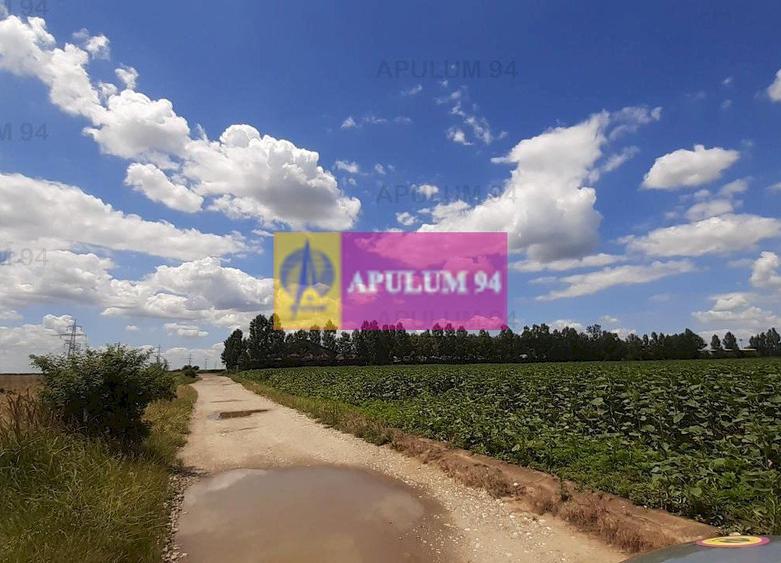 Teren 715mp în Snagov lângă Equestria