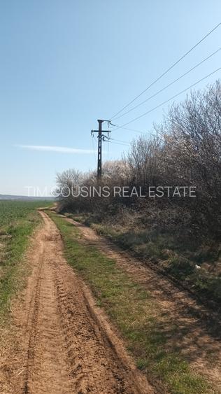 Ieftin, Băicoi-Liliești, vânzare  teren intravilan 7500mp, 4,5 e/mp, neg. - 5