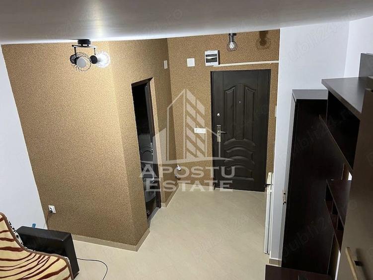 Apartament 1 camera de inchiriat, Dambovita, Timis