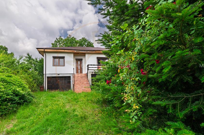 Casa moderna si casa bunicii + 6300 mp teren,Oaza autentica in Corbi Arges- - 3