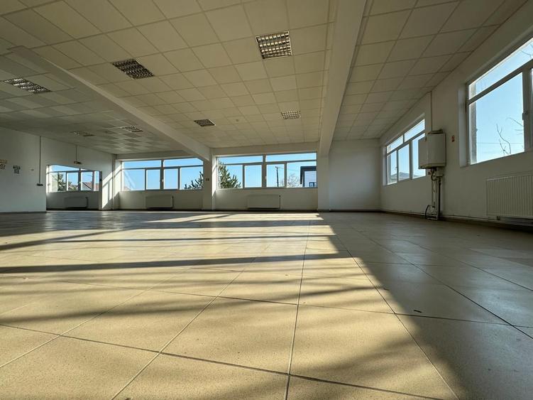 Hala productie P+1 si apartament de serviciu Navodari - c-tie beton