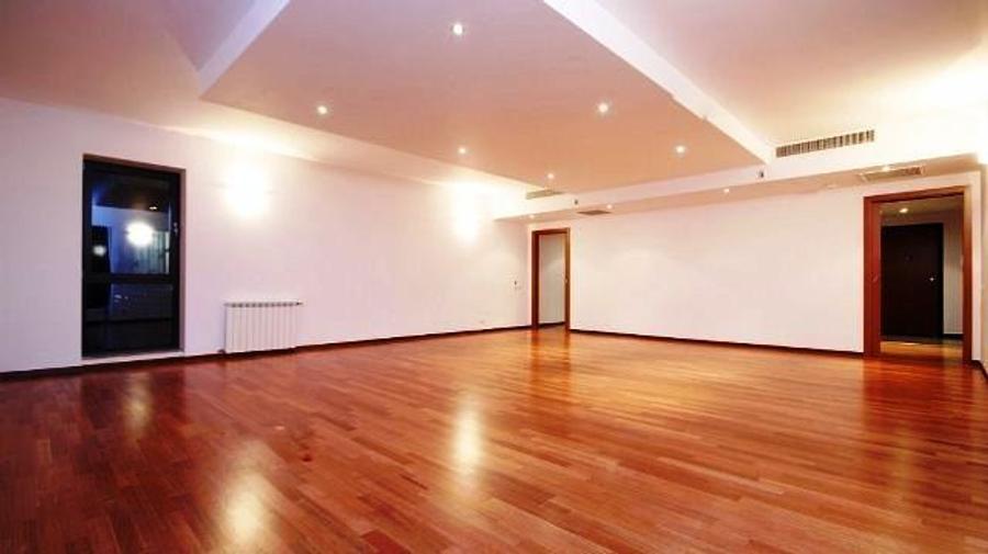 Apartament nemobilat Herastrau