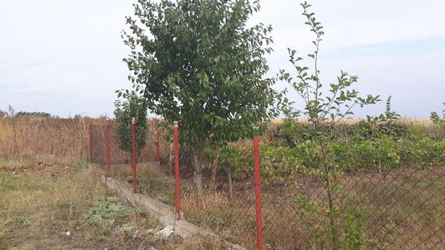 Teren intravilan zona de case