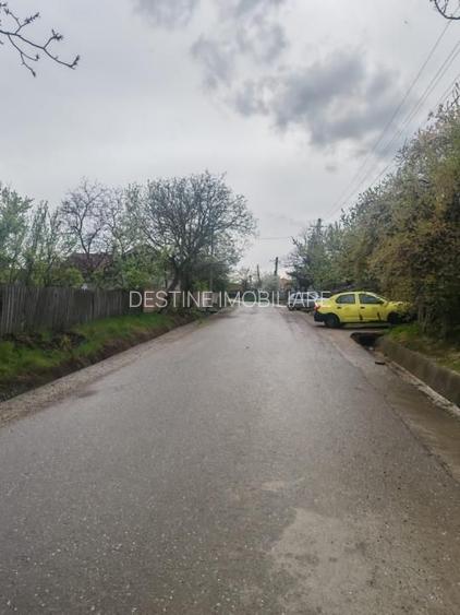 Teren intravilan in suprafata de 3160 mp, Puscasi, Poiana lui Alexa - 4