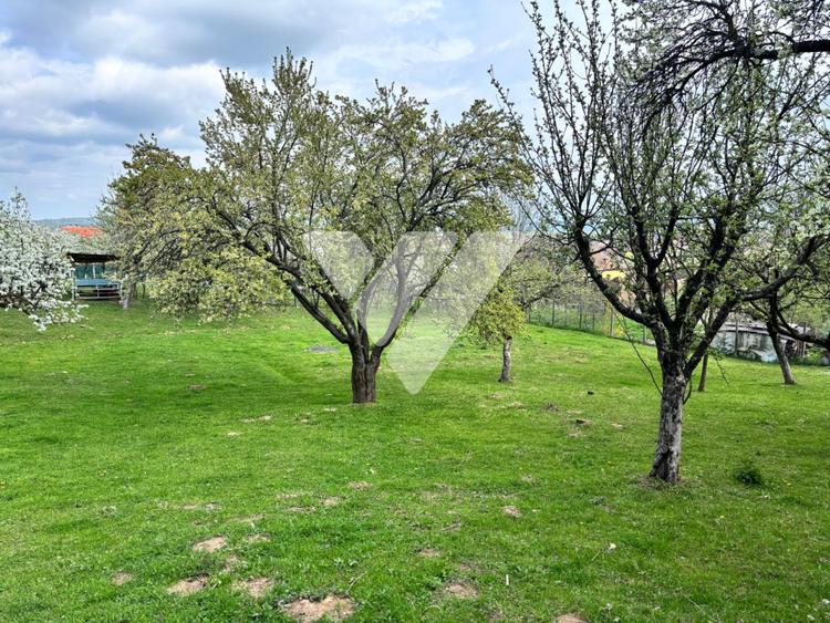 Teren de vanzare - Saliste - Intravilan - 430 MP