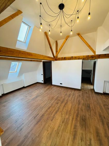 Apartament de vacanta (AP12)- TVA 0% - Vila in stil Neo-Romanesc