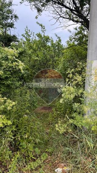 Teren 20798mp, DE 70 Craiova-Drobeta, Balota, Prunisor - 2