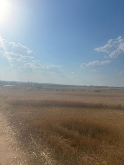 Teren intravilan, 500mp, zona Malu Mare, comision 0%