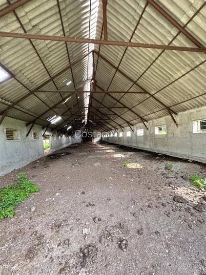 Vand Proprietate Premium 11,5 ha teren si constructii - 10