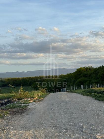Teren Intravilan - Șură Mică