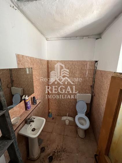 Casă de vânzare în Călanul Mic –  2 clădiri, curte, grădină, garaj - 14