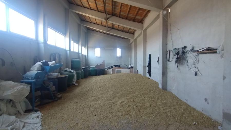 Fermă colectare și îngrașare animale judet Constanta