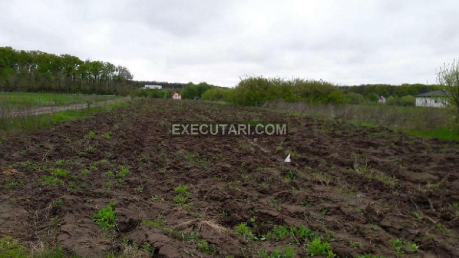SNAGOV SAT - Teren- 2410m² - Toate utilitatile - Zona de Vile