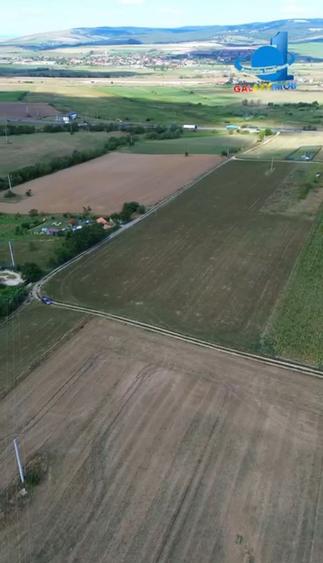 Teren De Vanzare Feldioara Utilitati In Apropiere