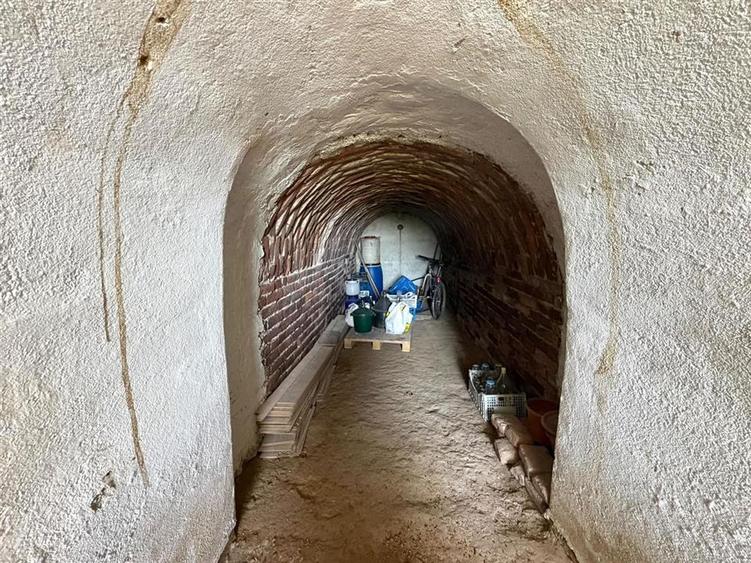 TEREN INTRAVILAN CU PIVNITA | 884 MP | ZONA EPISCOPIA | ORADEA