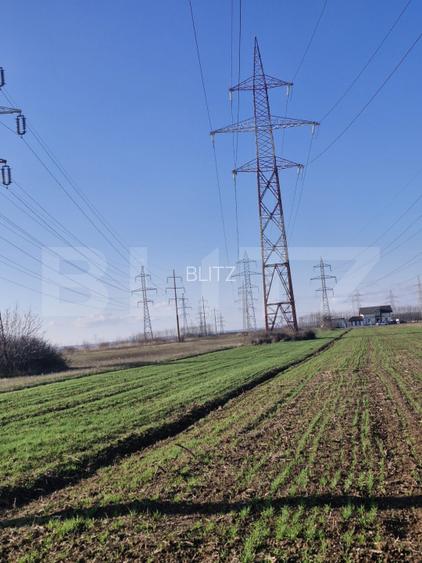 Teren extravilan 5.000 mp | Deschidere 15,79 m | Acces DN7 | Utilități la limită - 2