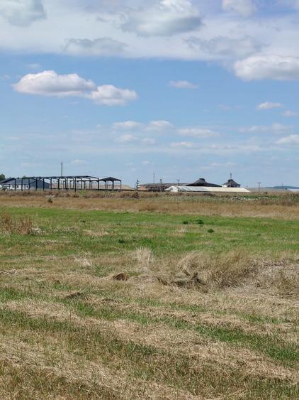Teren intravilan industrial – Tomești, zona Contom