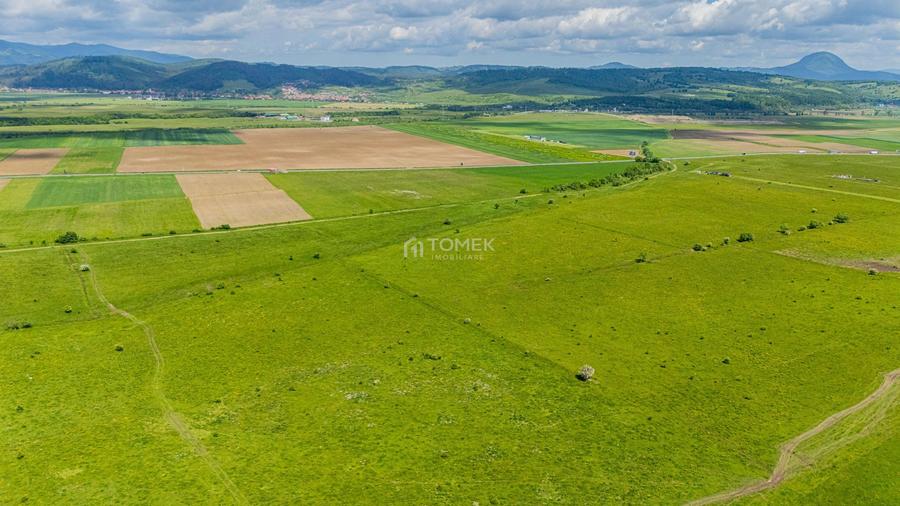 Teren de investiție în zona Tohanul Nou - Bran 5.800 mp