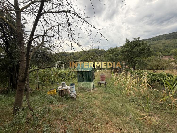 Casă în Cricău cu 1.375 mp teren, anexe, utilități, vie și livadă - Oportunitate