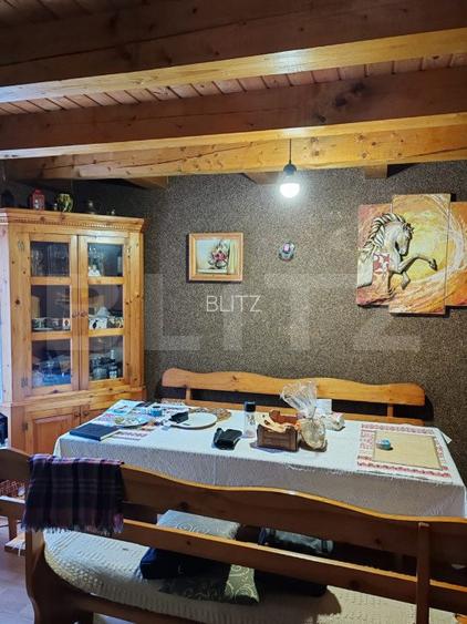 Cabana 3 camere + 1,7 ha teren , Spre Campul Cetatii - 6