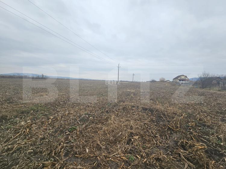 Teren extravilan 9000 mp, Ocna Mureș - 4