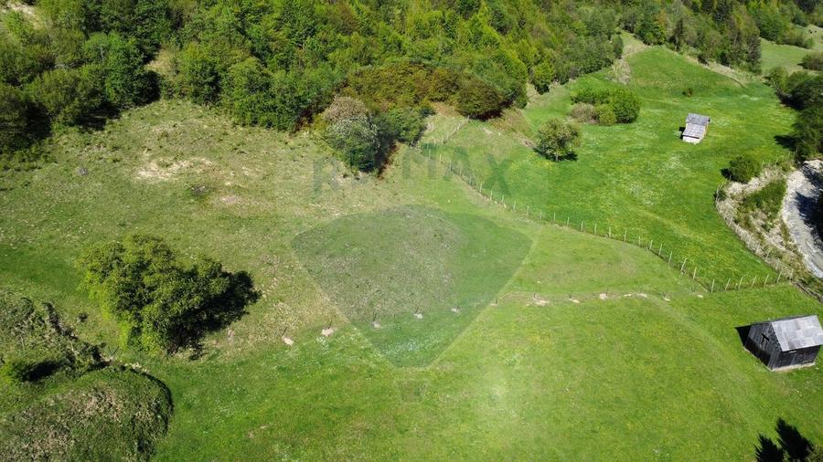 Teren 12,127mp Frasin / Drumul Forestier Valea Seacă