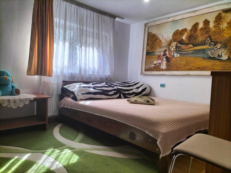 Casă la țară cu livadă, grădină și aer curat - Vulturești, Argeș