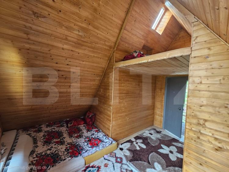 Cabană autentică cu 4565 mp teren, Liniste si Confort, Avram Iancu