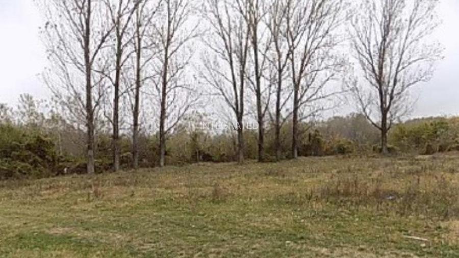 Teren extravilan - 4.175 mp, sat.Miroslavesti - 2